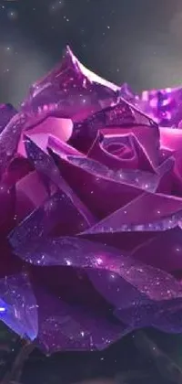 Flower Plant Window Live Wallpaper