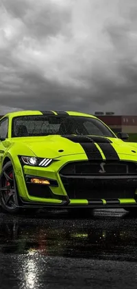 Mustang Shelby  Live Wallpaper