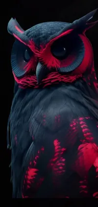 Coruja Live Wallpaper