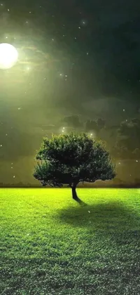 Night Tree Live Wallpaper