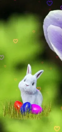 cute bunny Live Wallpaper