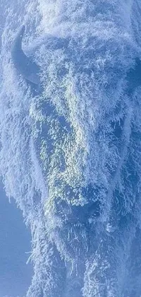Water Liquid Azure Live Wallpaper