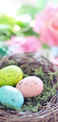 Easter Eggs  Live Wallpaper