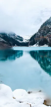 Beautiful winter Live Wallpaper