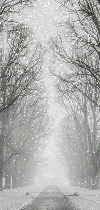 snowfall Live Wallpaper - free download
