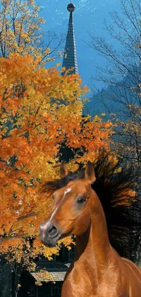 horse Live Wallpaper
