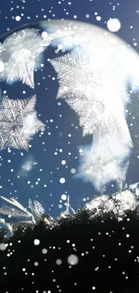 clw_1672903787574 Live Wallpaper