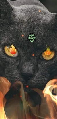 Black cat with fire eyes  Live Wallpaper