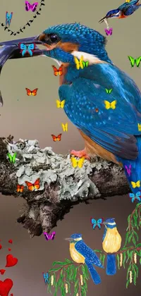 kingfisher Live Wallpaper
