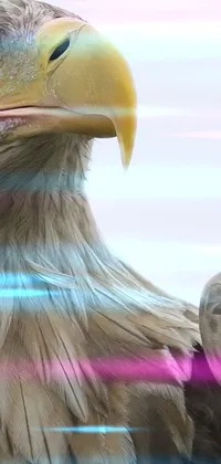 oppp Live Wallpaper