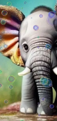 Elephant Organism Elephants And Mammoths Live Wallpaper