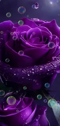 Flower Plant Purple Live Wallpaper