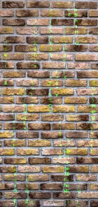 Brickwork Wall Brick Live Wallpaper