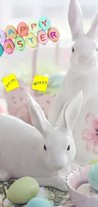 Rabbit Vertebrate White Live Wallpaper