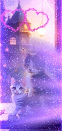 Cat Purple Light Live Wallpaper - free download