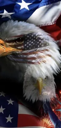 Bird Beak Accipitridae Live Wallpaper