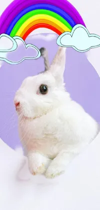 White Rabbit Ear Live Wallpaper