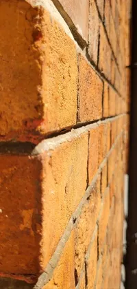 Brown Wood Brick Live Wallpaper