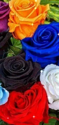 Flower Plant Photograph Live Wallpaper