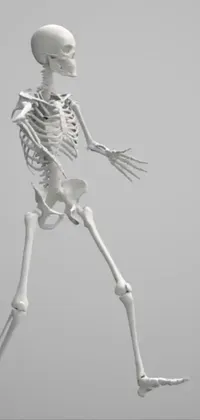 Rib Art Skeleton Live Wallpaper