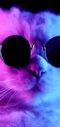 Nose Cat Purple Live Wallpaper