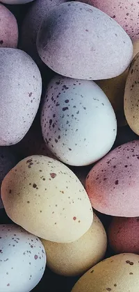 Light Egg Natural Foods Live Wallpaper
