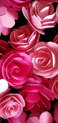 Flower Plant Photograph Live Wallpaper