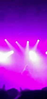 Purple Concert Violet Live Wallpaper