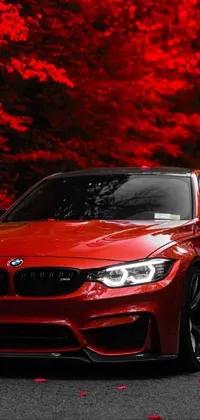 Vehicle Car Land Vehicle Live Wallpaper