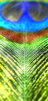Head Colorfulness Photograph Live Wallpaper
