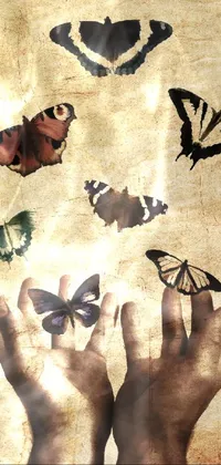 Brown Pollinator Insect Live Wallpaper