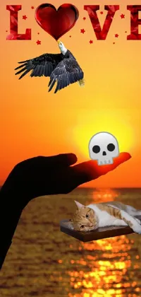 Vertebrate Orange Mammal Live Wallpaper
