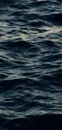 Water Liquid Azure Live Wallpaper