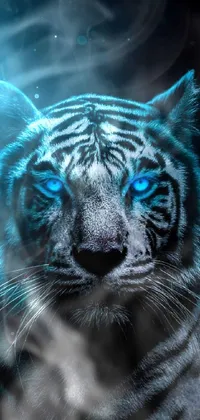 Eye Tiger Bengal Tiger Live Wallpaper