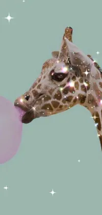 Giraffe Giraffidae Neck Live Wallpaper