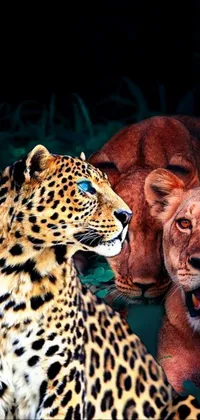 Felidae Carnivore African Leopard Live Wallpaper