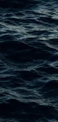 Water Liquid Fluid Live Wallpaper