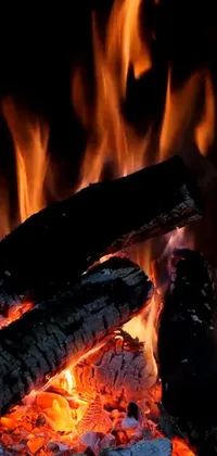Muscle Fire Flame Live Wallpaper