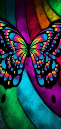 Pollinator Butterfly Insect Live Wallpaper