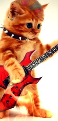 Musical Instrument Guitar Cat Live Wallpaper