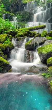 Water Plant Water Resources Live Wallpaper