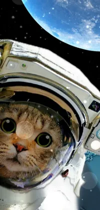 Cat Astronaut Carnivore Live Wallpaper