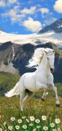 Cloud Sky Horse Live Wallpaper
