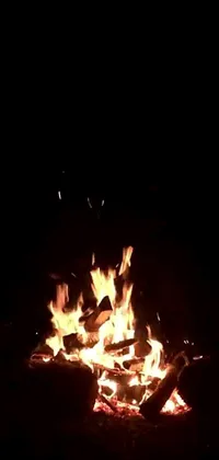 Bonfire Fire Campfire Live Wallpaper