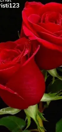 Flower Plant Botany Live Wallpaper