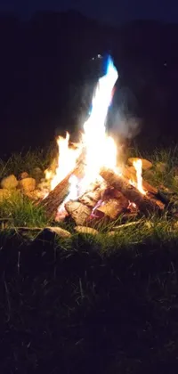 Bonfire Plant Fire Live Wallpaper
