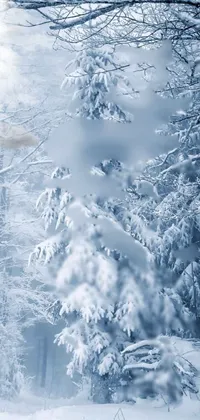 Snow Twig Atmospheric Phenomenon Live Wallpaper