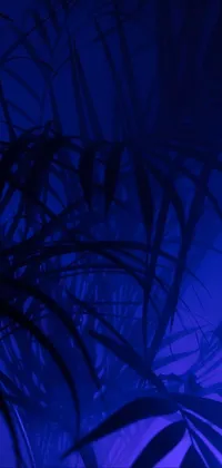 Azure Blue Plant Live Wallpaper