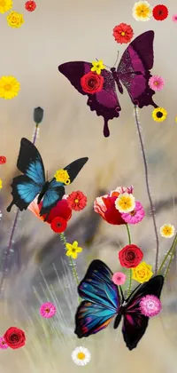 clw_1664323780840 Live Wallpaper