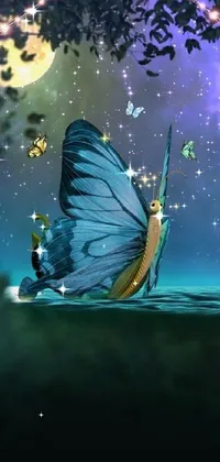 Insect Pollinator Arthropod Live Wallpaper